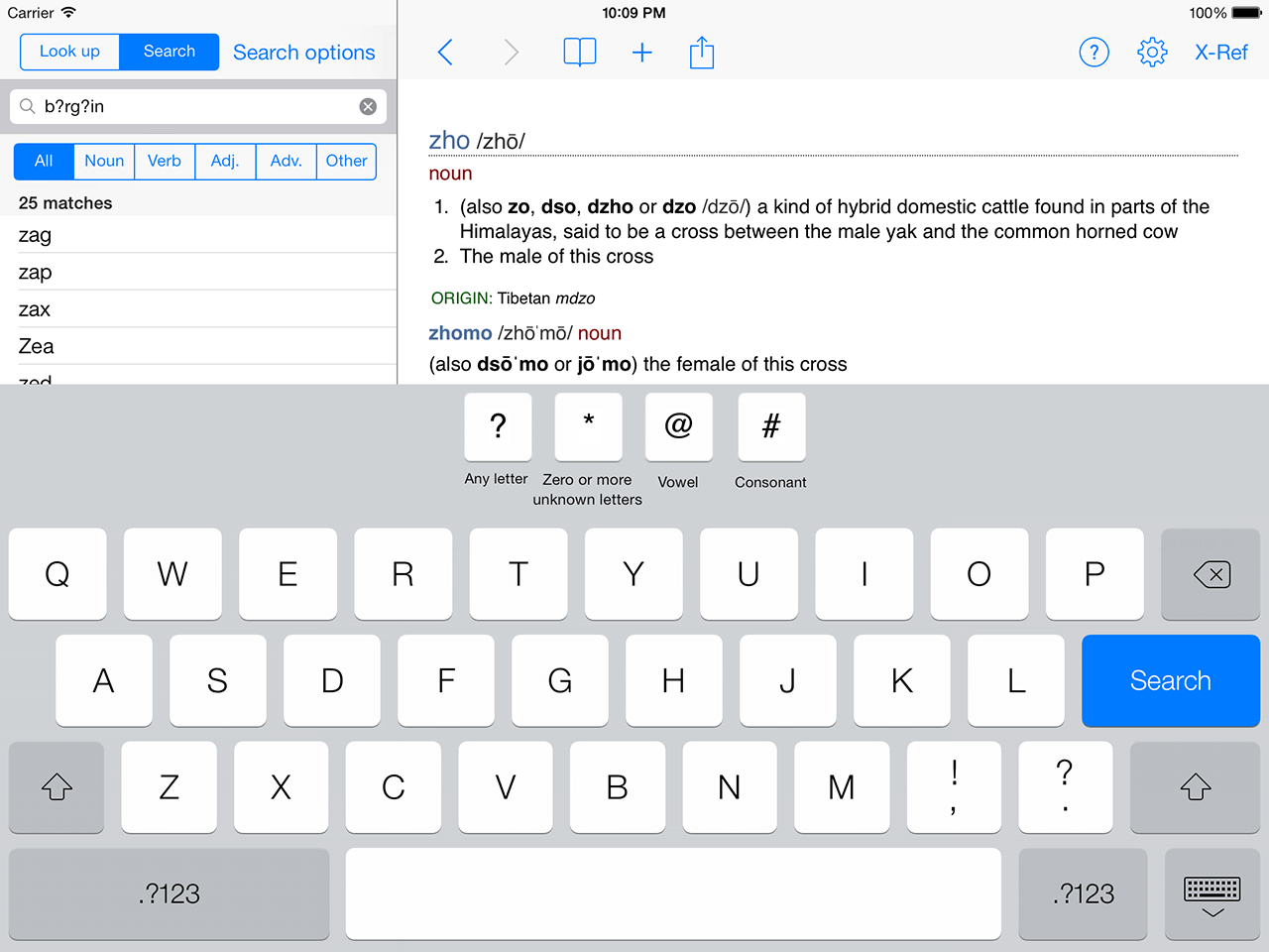 Chambers Dictionary pattern search on iPad