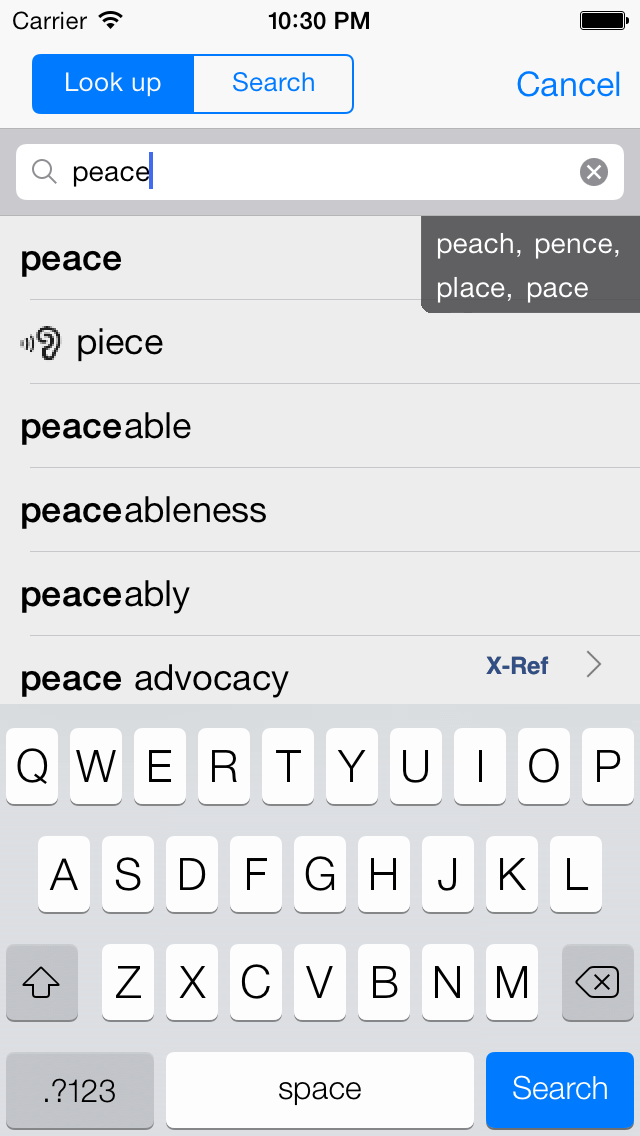 WordWeb Dictionary main screen